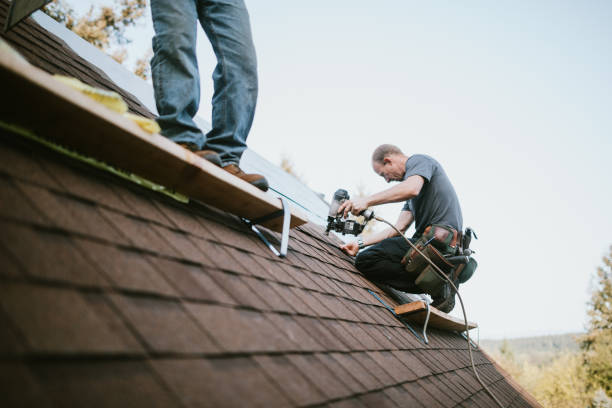 Professional Roofing Contractor in Key Vista, FL